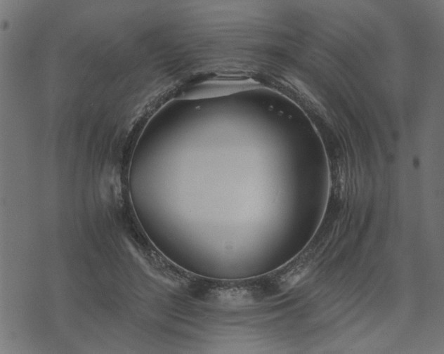 X0000073900500200608181002