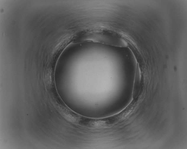 X0000073900501200608181002