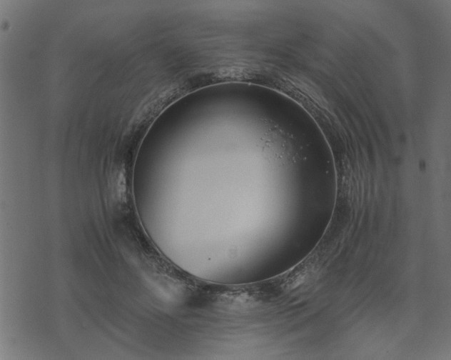 X0000073900502200608181002