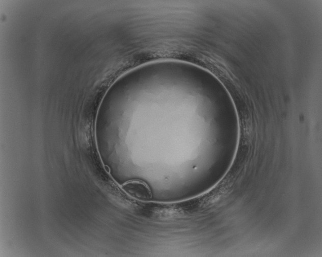 X0000073900503200608181002