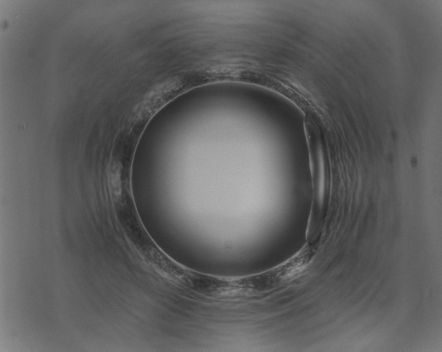 X0000073900504200608181002