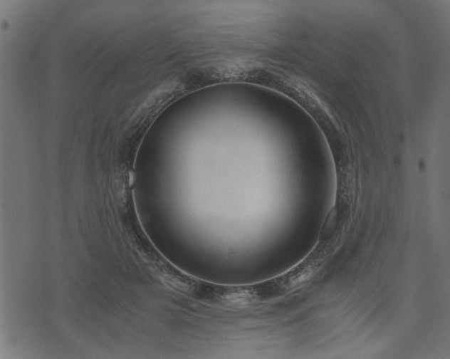 X0000073900505200608181002