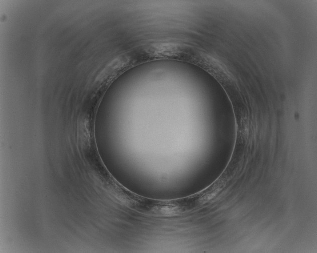 X0000073900506200608181002