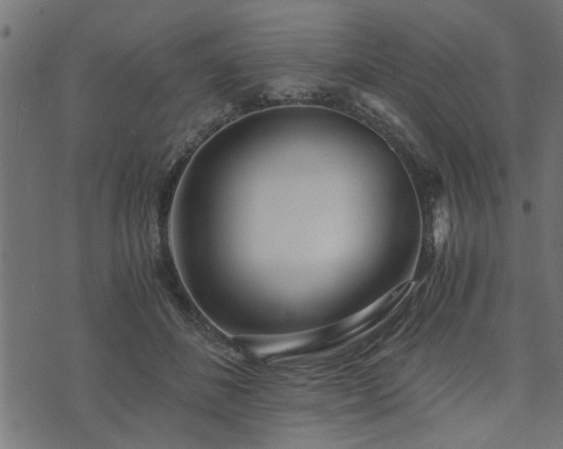 X0000073900508200608181002