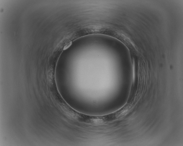 X0000073900509200608181002