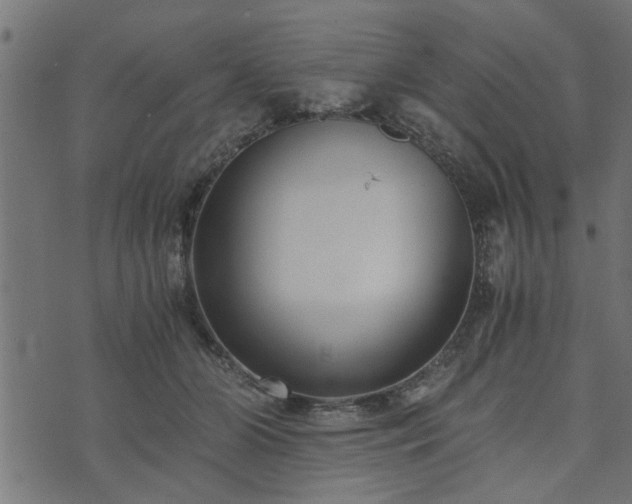 X0000073900510200608181002