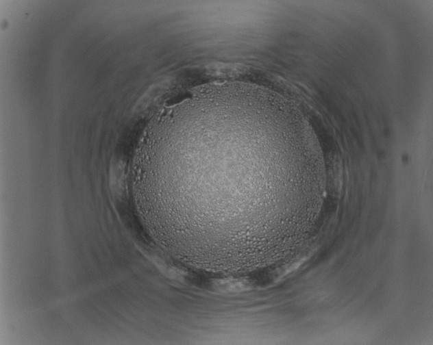 X0000073900511200608181002