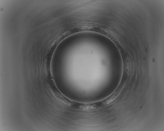 X0000073900512200608181002