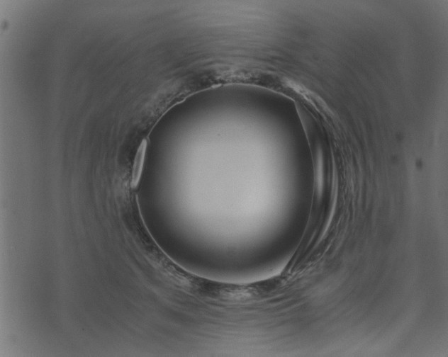 X0000073900513200608181002