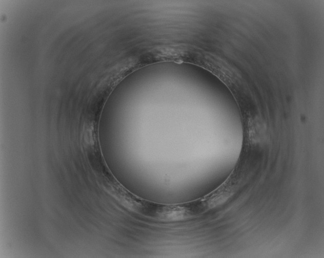 X0000073900514200608181002