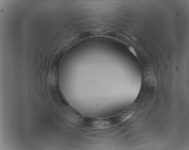 X0000073900515200608181002