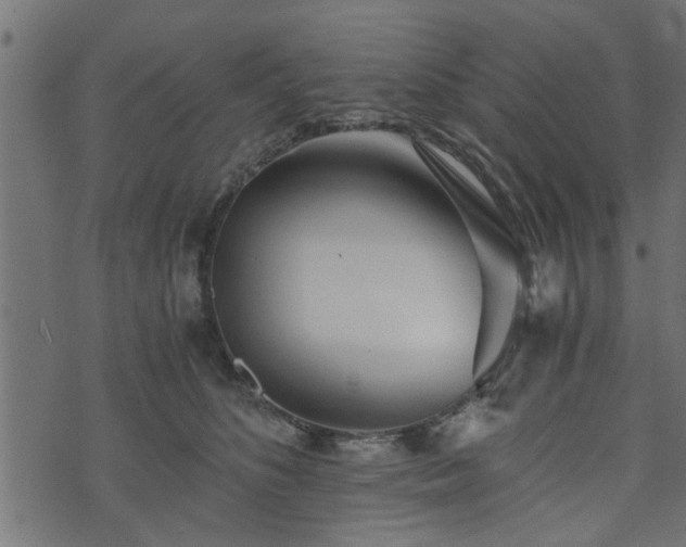 X0000073900516200608181002