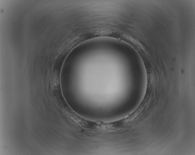 X0000073900517200608181002