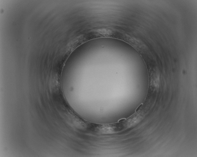 X0000073900518200608181002