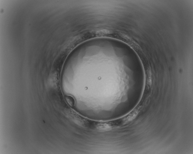 X0000073900519200608181002