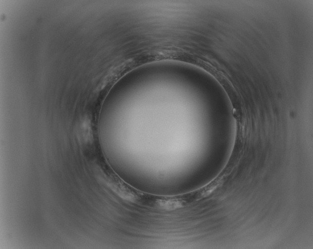 X0000073900520200608181002