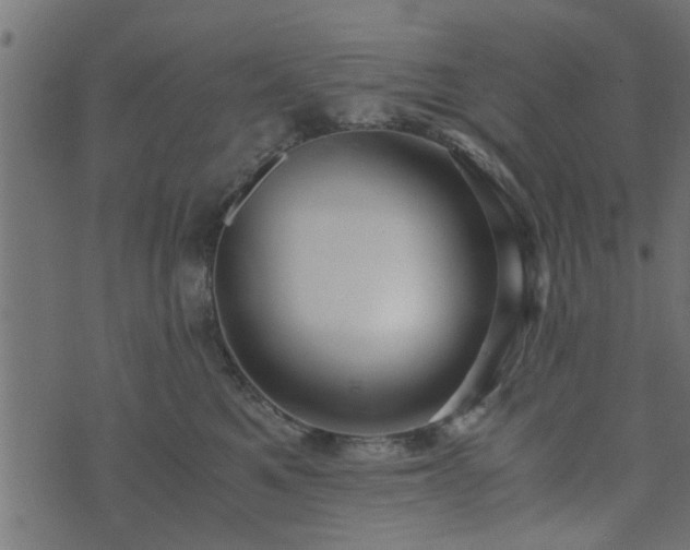 X0000073900521200608181002