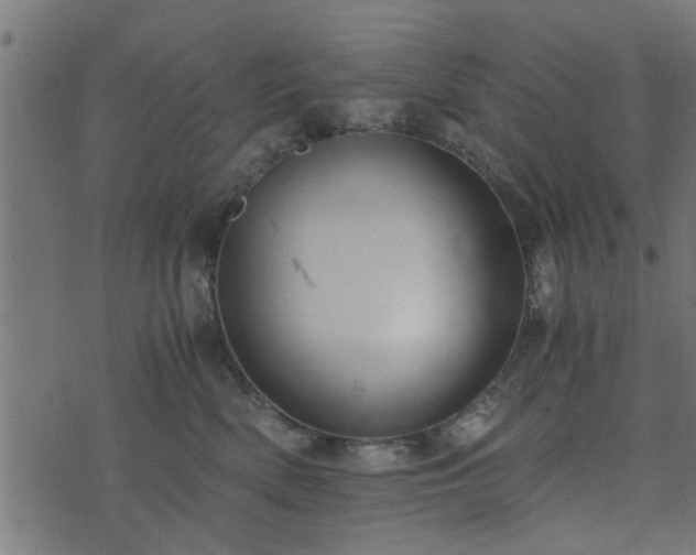 X0000073900522200608181002