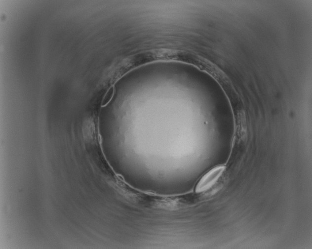 X0000073900523200608181002