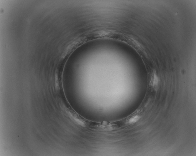 X0000073900524200608181002