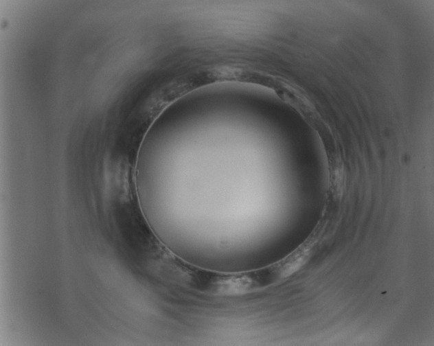 X0000073900525200608181002