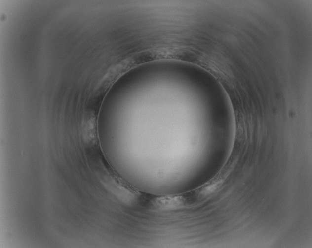 X0000073900526200608181002