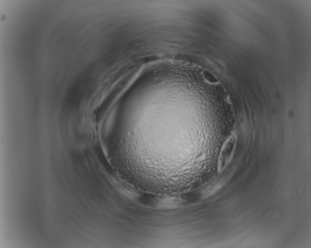 X0000073900527200608181002