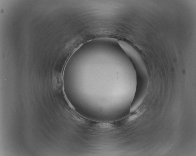 X0000073900528200608181002