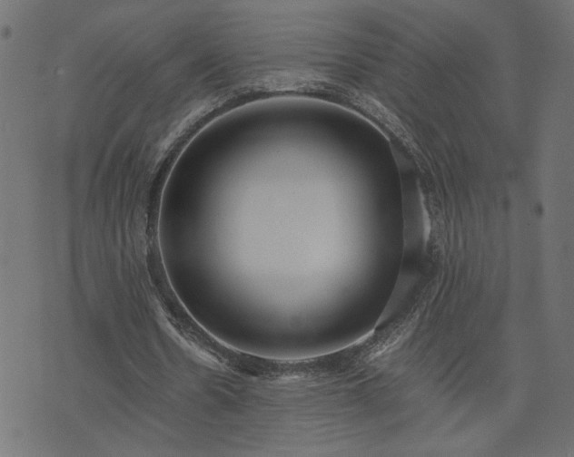 X0000073900530200608181001