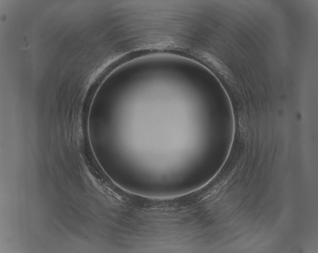 X0000073900532200608181001