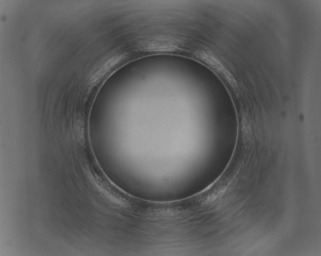 X0000073900533200608181001