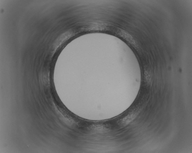 X0000073900534200608181001