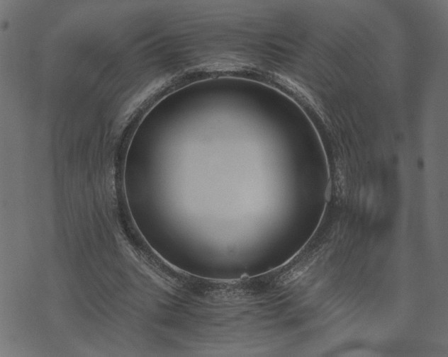 X0000073900535200608181001