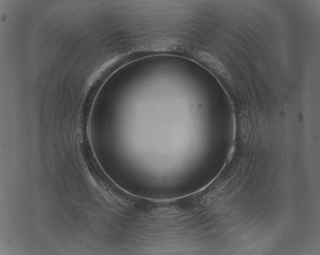 X0000073900536200608181001