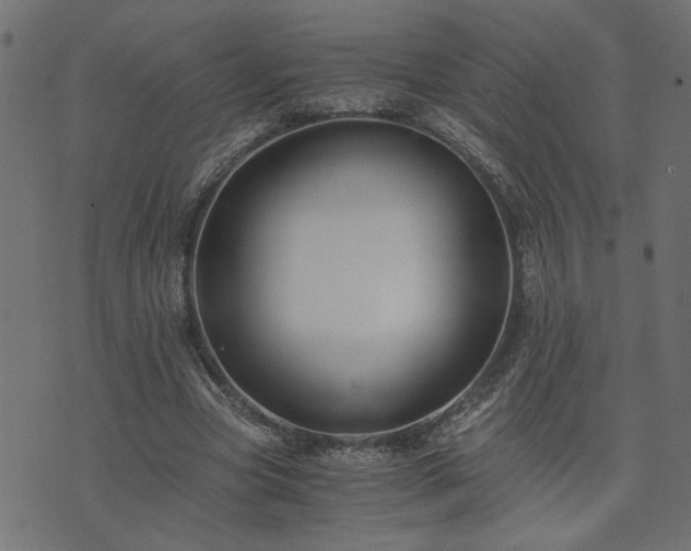 X0000073900537200608181001