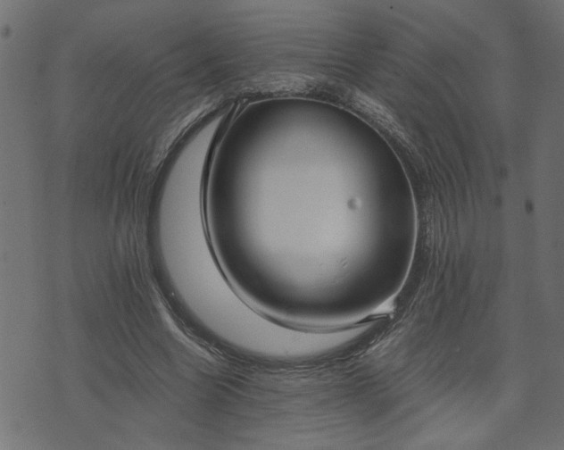 X0000073900538200608181001