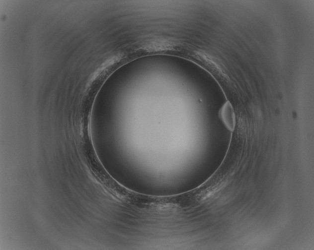 X0000073900539200608181001