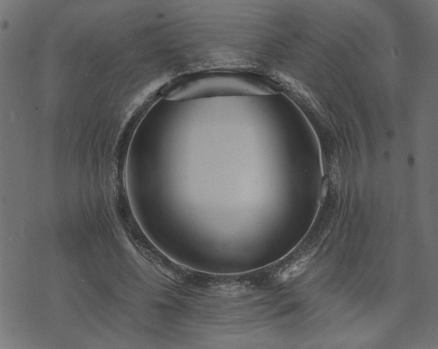 X0000073900540200608181001