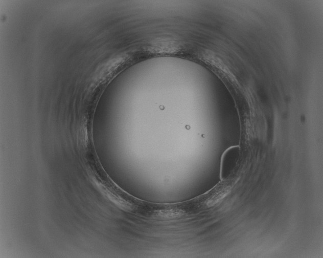 X0000073900541200608181001