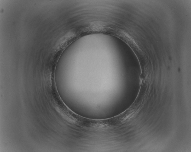 X0000073900542200608181001