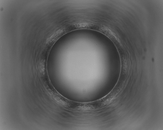 X0000073900545200608181001