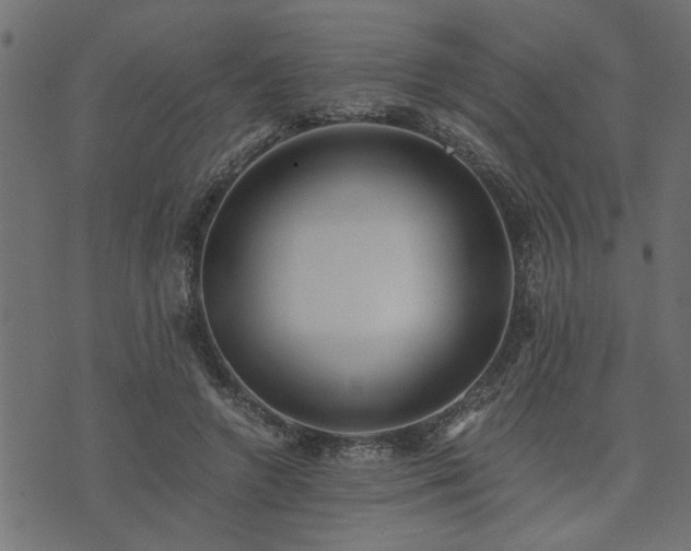 X0000073900546200608181001