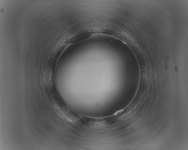 X0000073900548200608181001