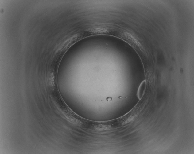 X0000073900549200608181001