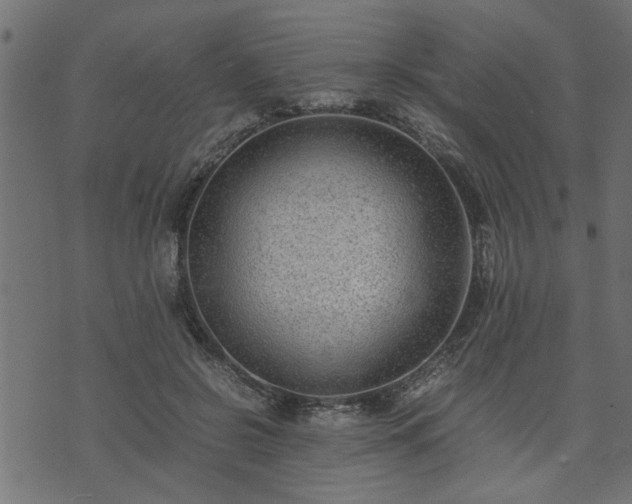 X0000073900550200608181001