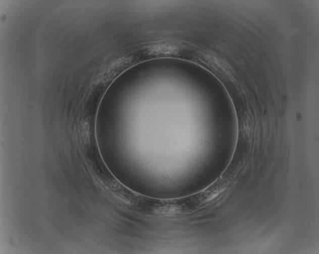 X0000073900551200608181001