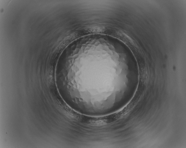 X0000073900553200608181001