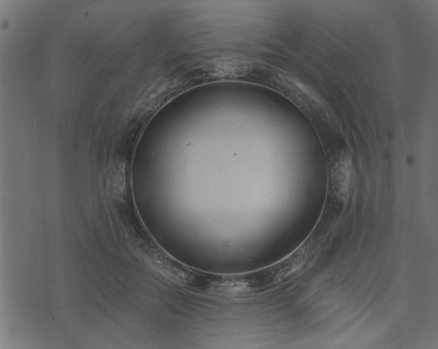 X0000073900554200608181001