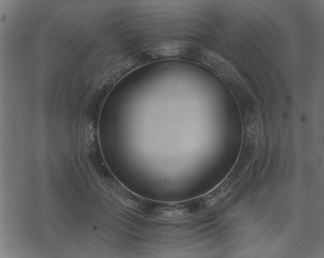 X0000073900555200608181001