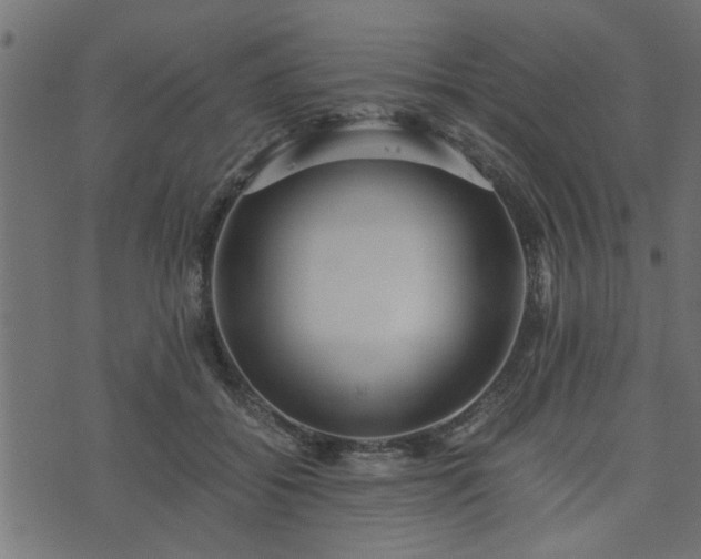 X0000073900556200608181001